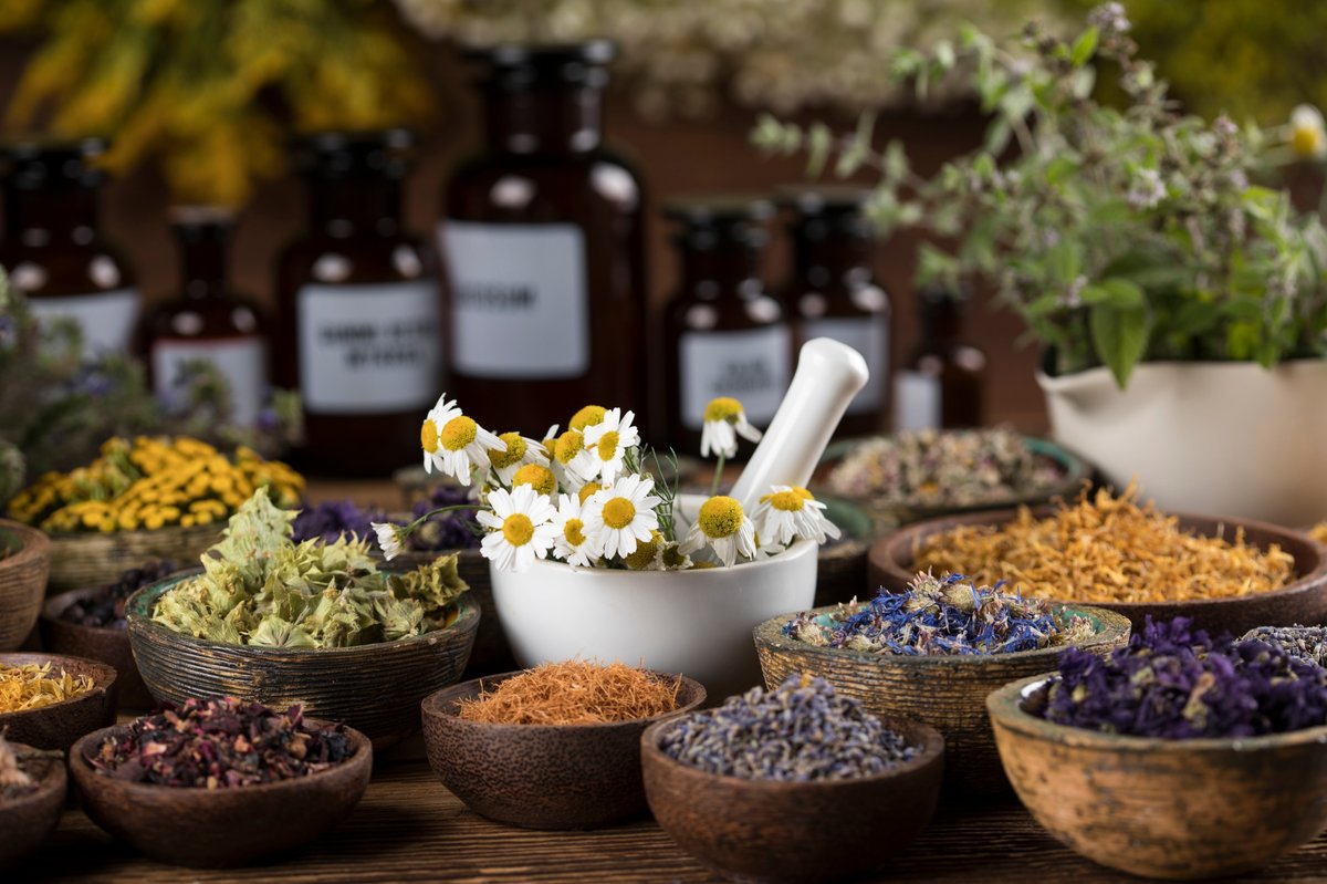 Phytotherapie Tiere Naturheilkunde Pferd Hund