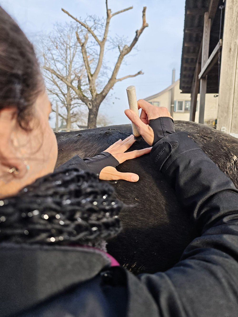 Tierheilpraktikerin Simone Forster Moxatherapie Pferd Ostschweiz